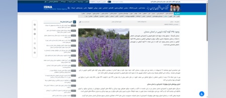 وجود ۱۳۵ گونه گیاه دارویی در استان سمنان