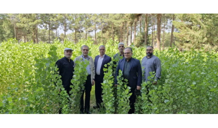 طرح کاشت یک میلیارد درخت