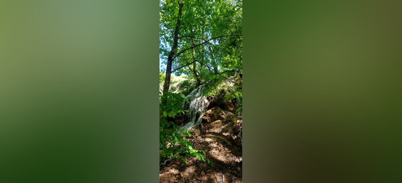 جنگل زیبای فینسک شهرستان مهدیشهر