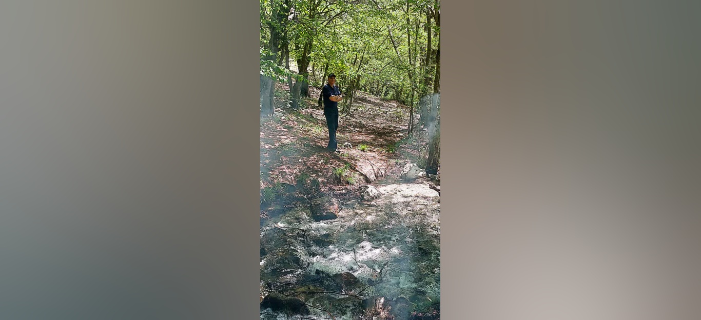 جنگل زیبای فینسک شهرستان مهدیشهر