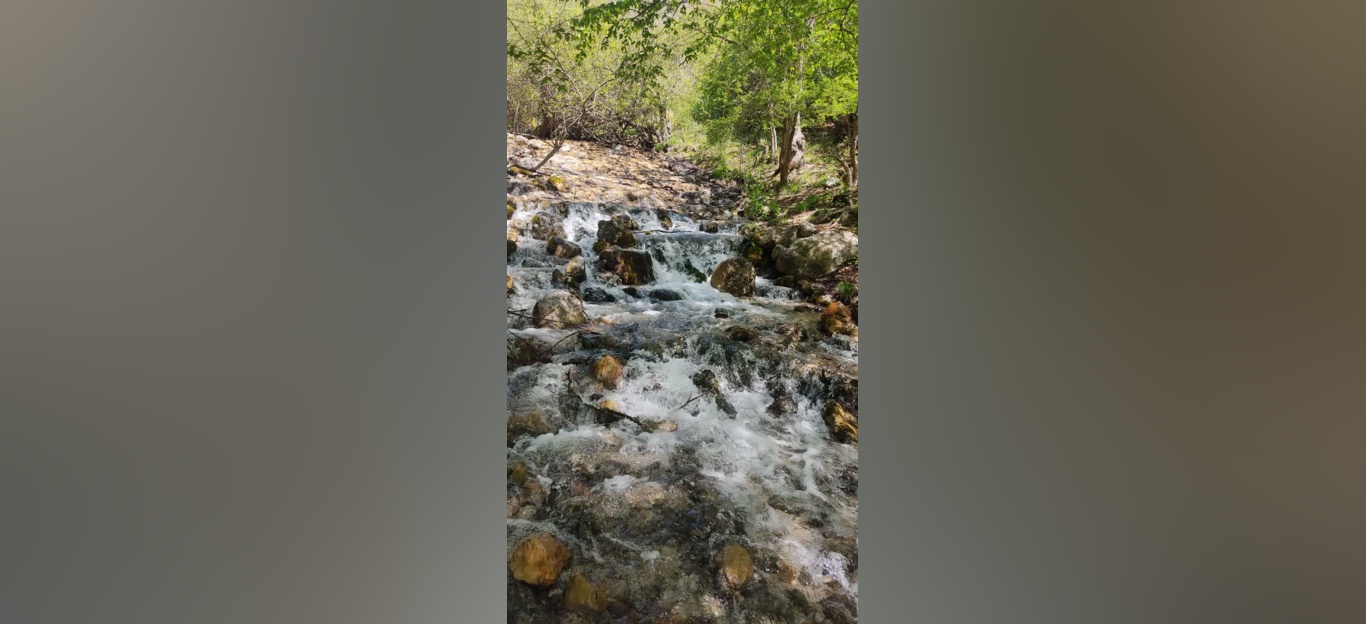 جنگل زیبای فینسک شهرستان مهدیشهر