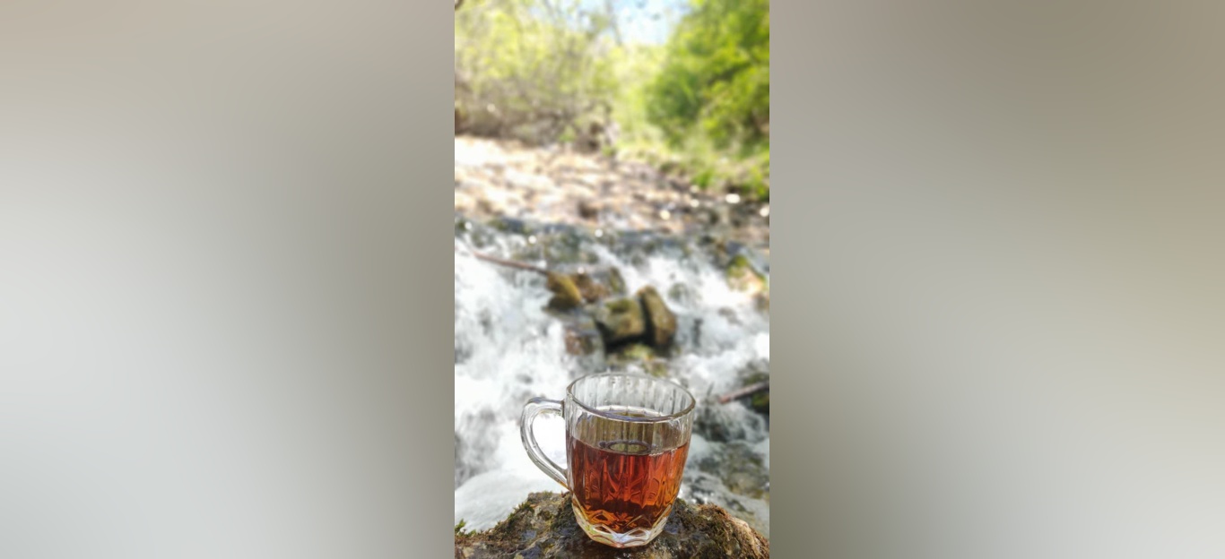 جنگل زیبای فینسک شهرستان مهدیشهر