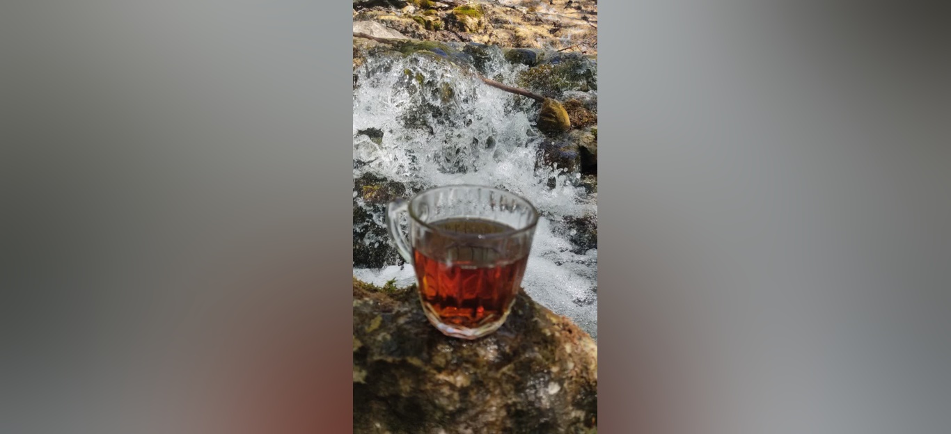 جنگل زیبای فینسک شهرستان مهدیشهر