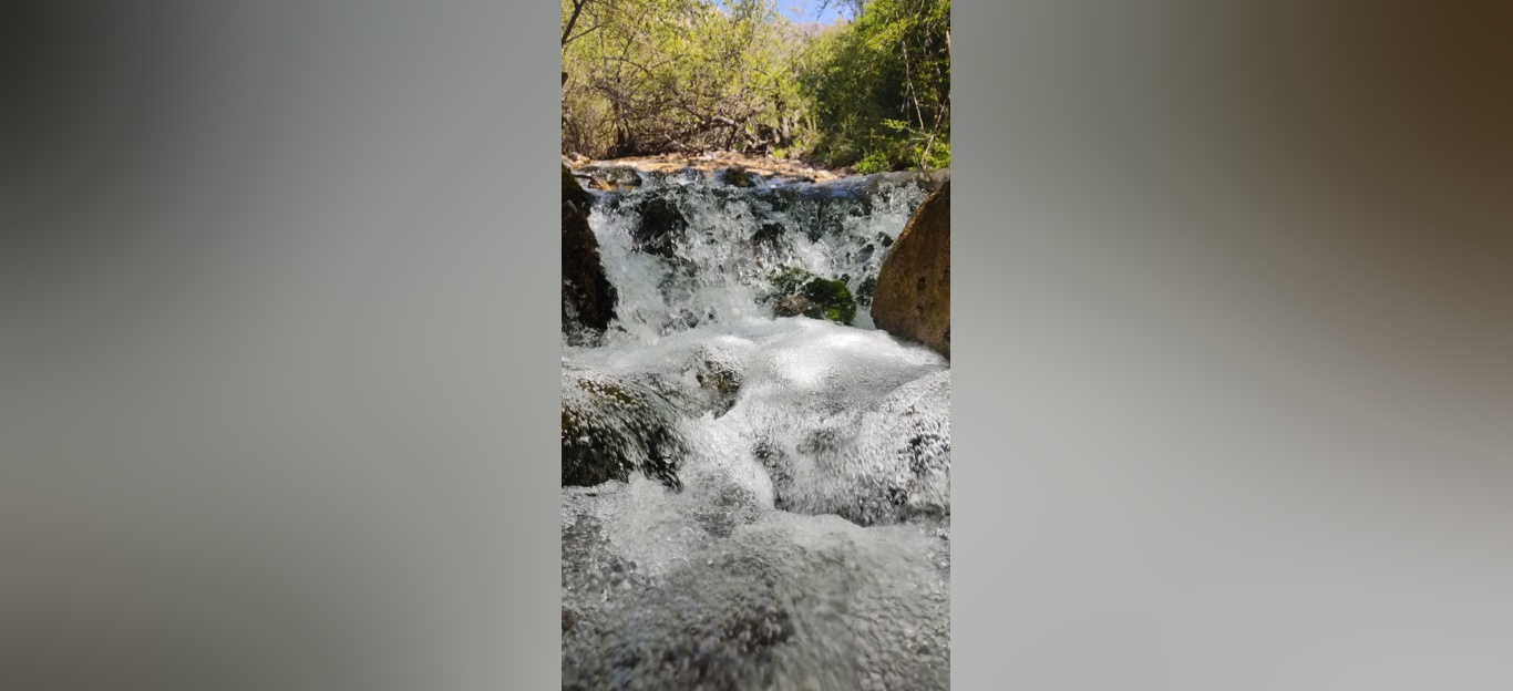 جنگل زیبای فینسک شهرستان مهدیشهر