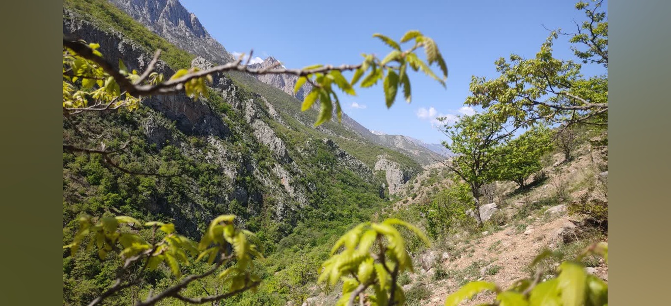 جنگل زیبای فینسک شهرستان مهدیشهر