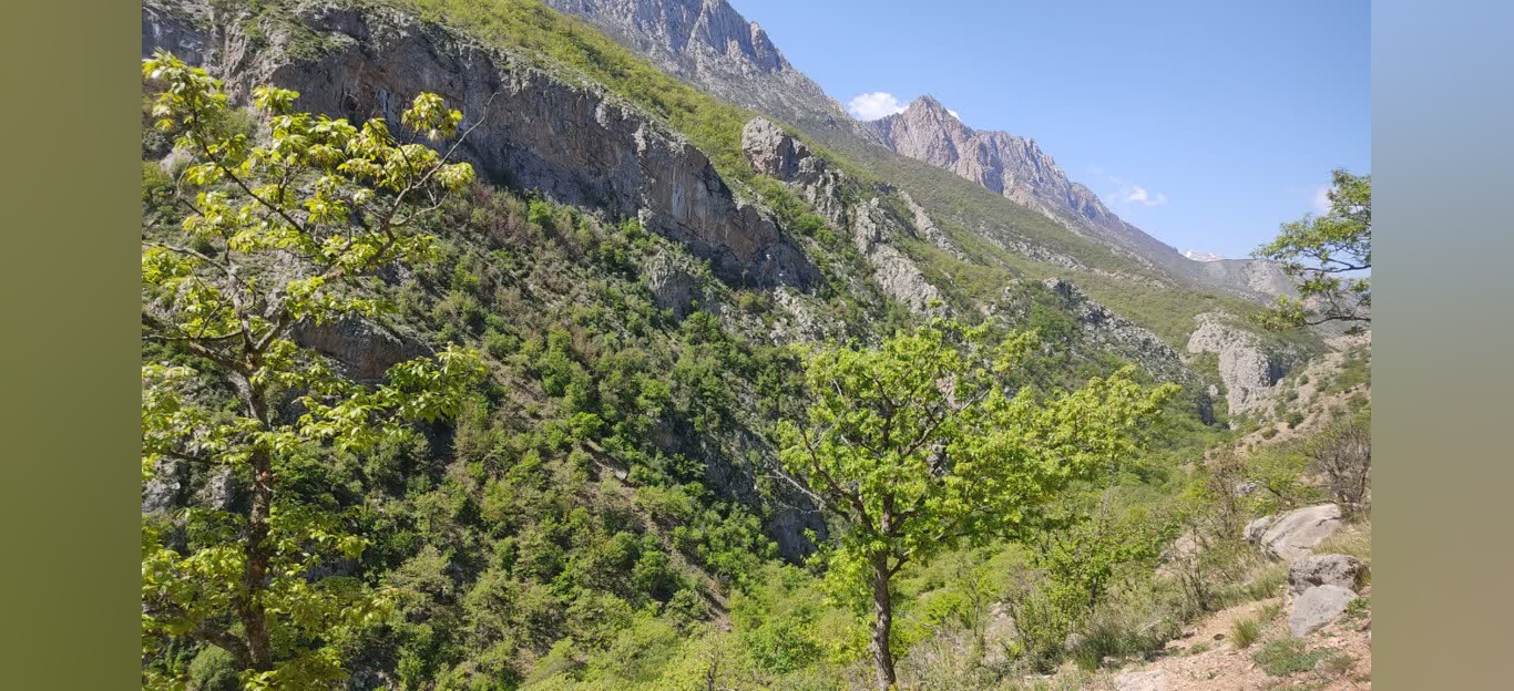 جنگل زیبای فینسک شهرستان مهدیشهر