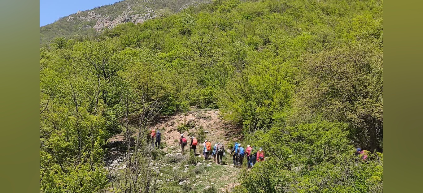 جنگل زیبای فینسک شهرستان مهدیشهر