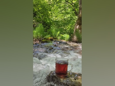 رودبارک