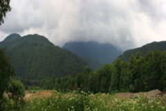 جنگل های هیرکانی مازندران