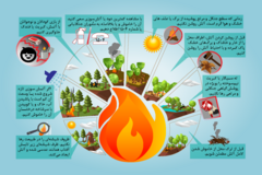 پیشگیری از حریق در جنگل ها و مراتع