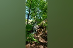 جنگل زیبای فینسک شهرستان مهدیشهر