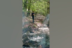 جنگل زیبای فینسک شهرستان مهدیشهر