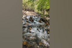 جنگل زیبای فینسک شهرستان مهدیشهر