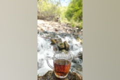 جنگل زیبای فینسک شهرستان مهدیشهر