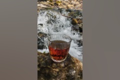 جنگل زیبای فینسک شهرستان مهدیشهر