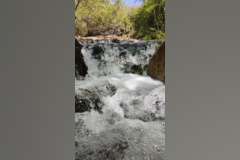 جنگل زیبای فینسک شهرستان مهدیشهر
