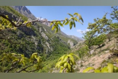 جنگل زیبای فینسک شهرستان مهدیشهر