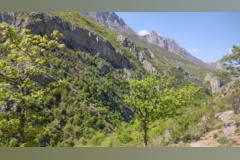 جنگل زیبای فینسک شهرستان مهدیشهر
