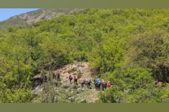 جنگل زیبای فینسک شهرستان مهدیشهر