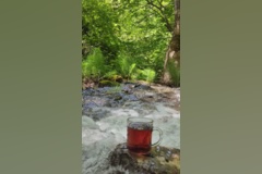 گالری جنگل زیبای هیرکانی رودبارک- حمیدرضا عبدوس