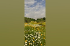 گالری عکس های باغ گیاهشناسی ایران
