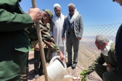 پویش درختکاری سرو ایران به مناسب سوم خرداد سال روز آزادسازی خرمشهر