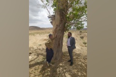 یگان حفاظت شهرستان سمنان