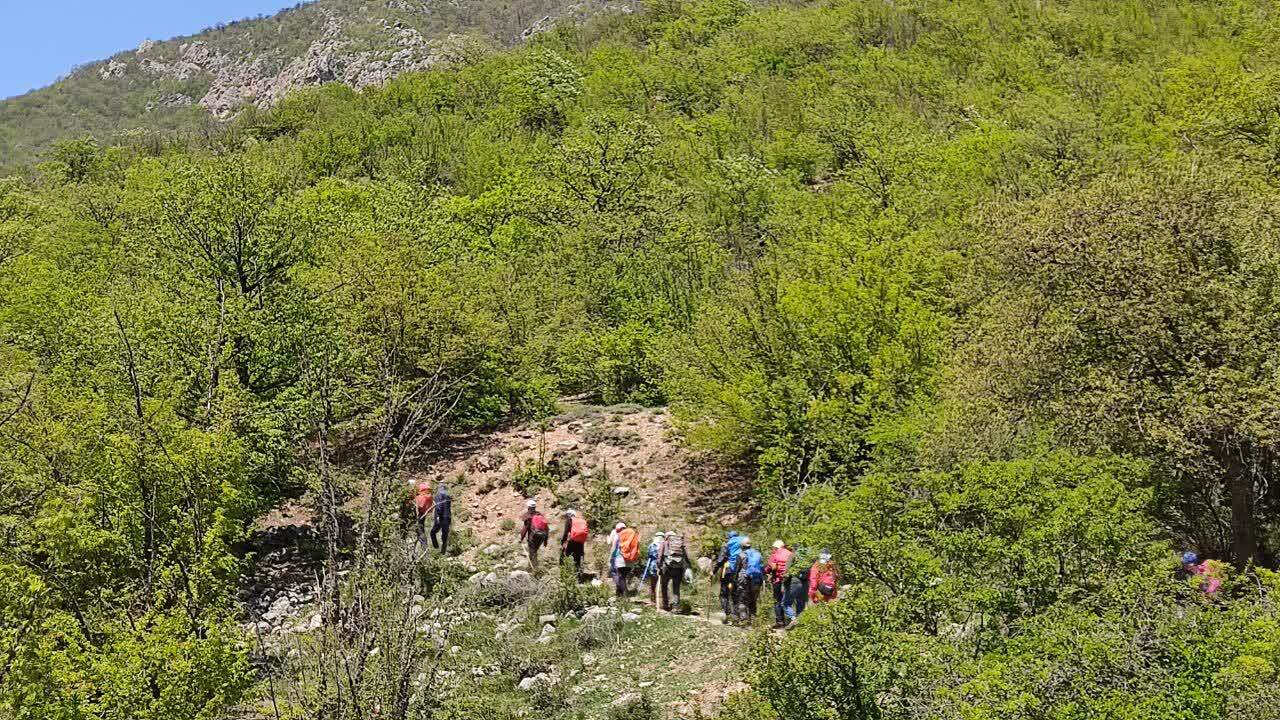 جنگل زیبای فینسک شهرستان مهدیشهر_ حمیدرضا عبدوس