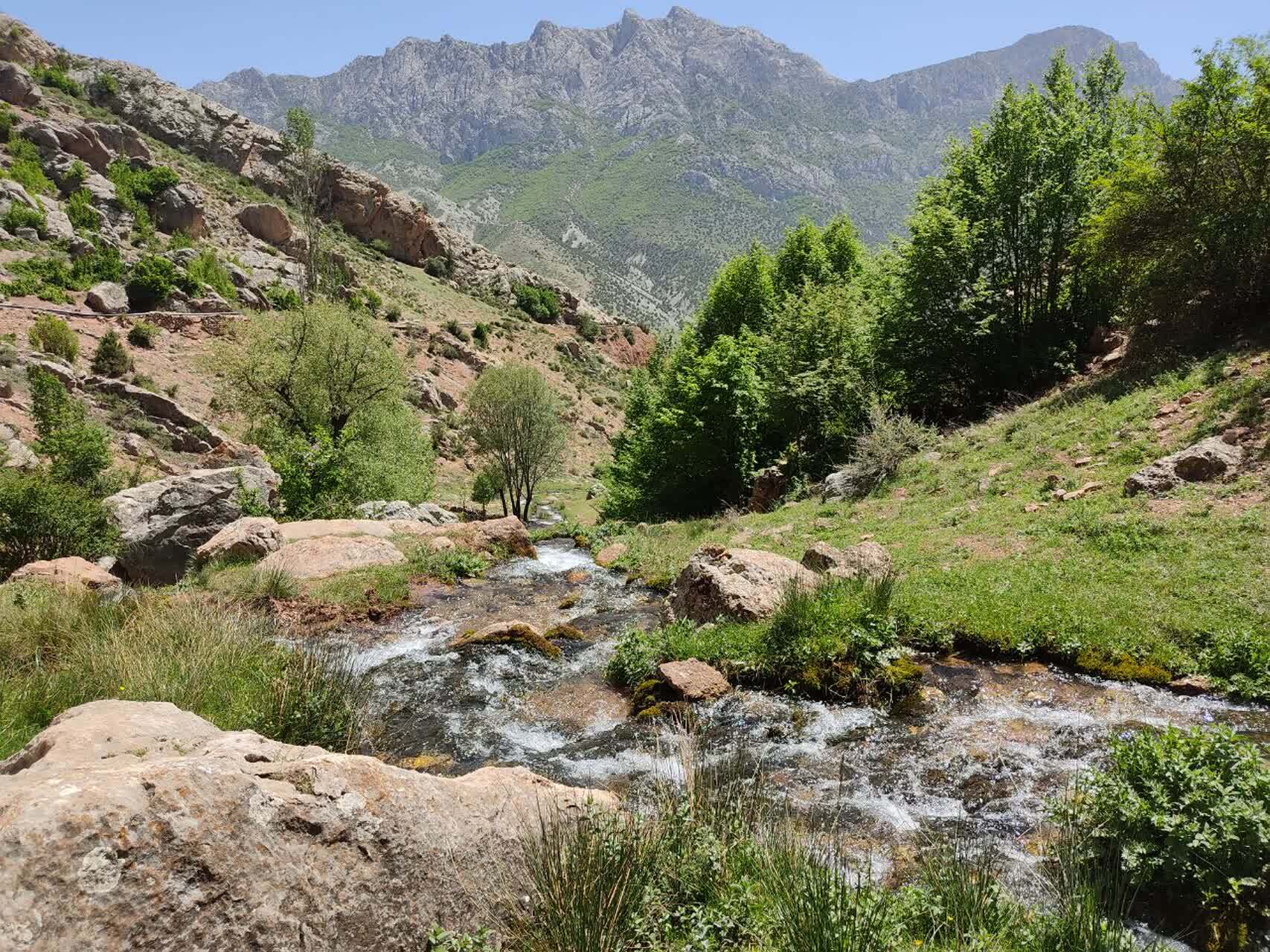 	جنگل زیبای فینسک شهرستان مهدیشهر_ حمیدرضا عبدوس