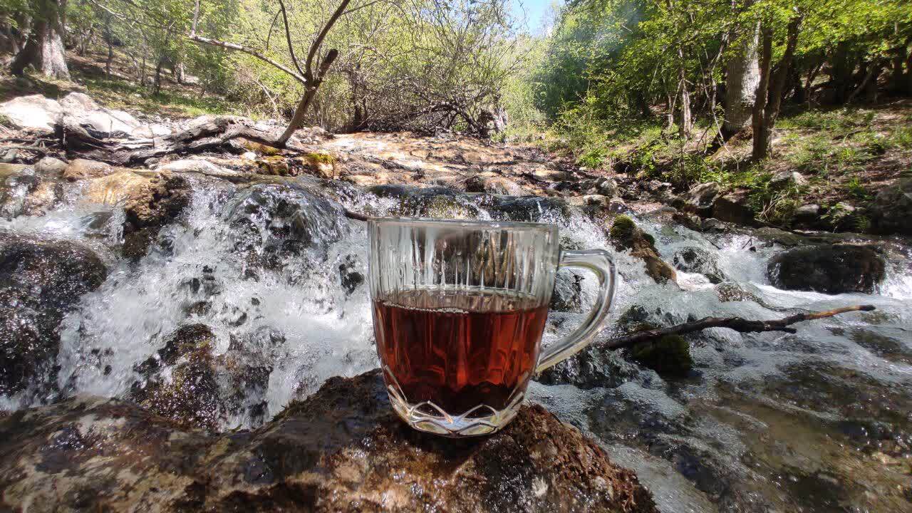 	جنگل زیبای فینسک شهرستان مهدیشهر_ حمیدرضا عبدوس