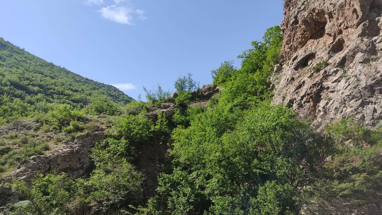 جنگل زیبای هیرکانی رودبارک شهرستان مهدیشهر استان سمنان - حمیدرضاعبدوس