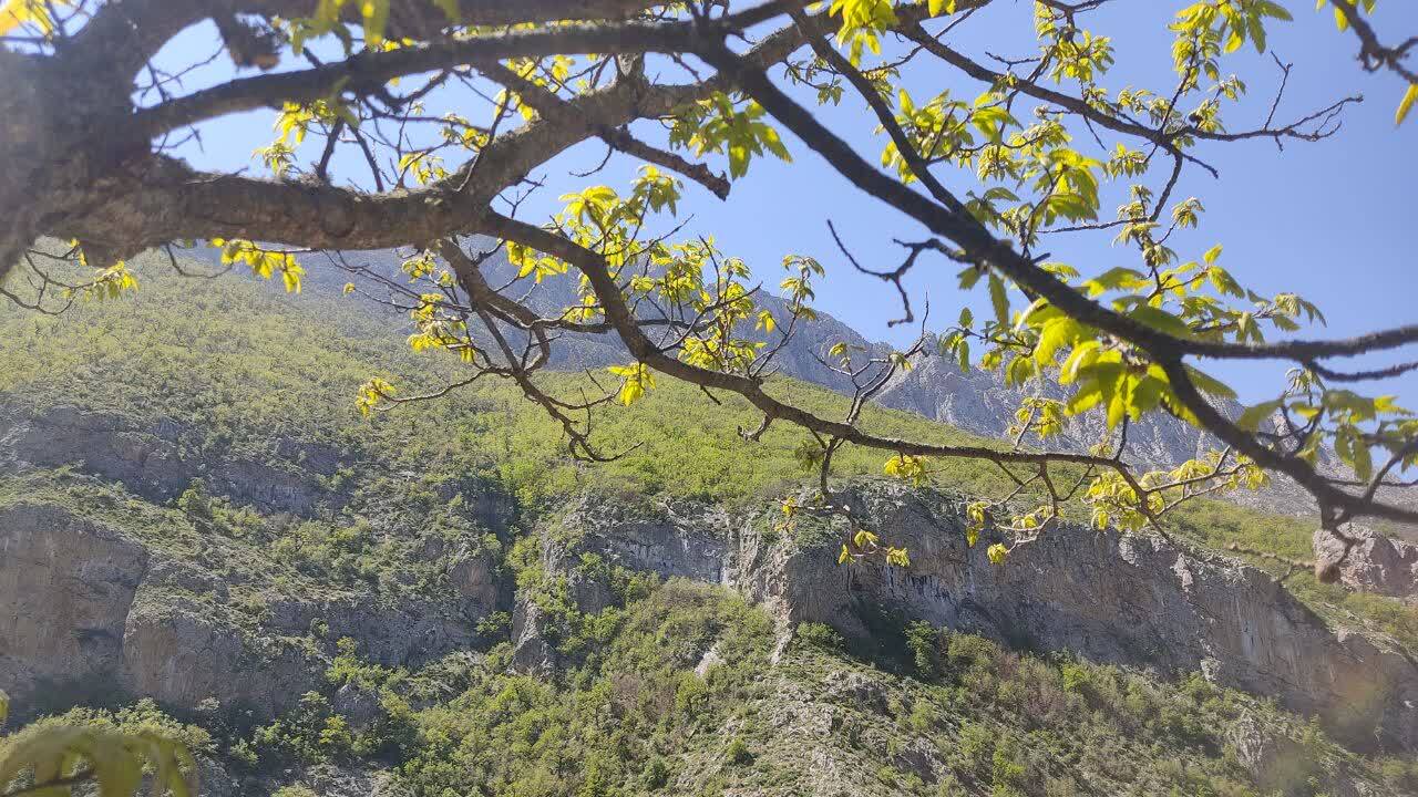 جنگل زیبای فینسک شهرستان مهدیشهر 