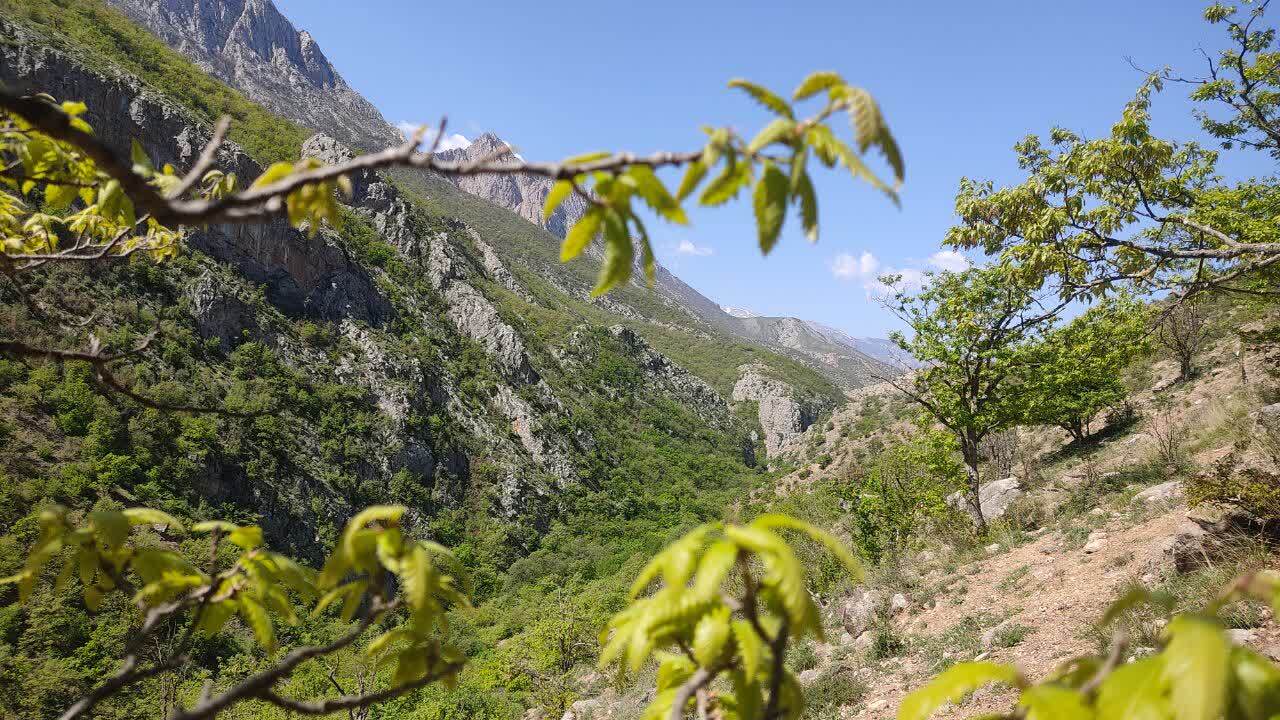 جنگل زیبای فینسک شهرستان مهدیشهر 