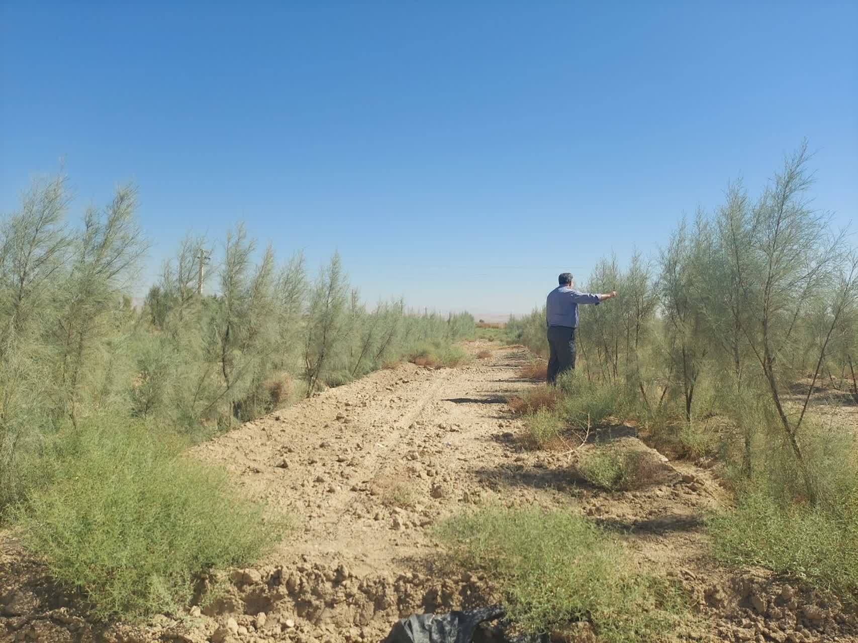 بیابان