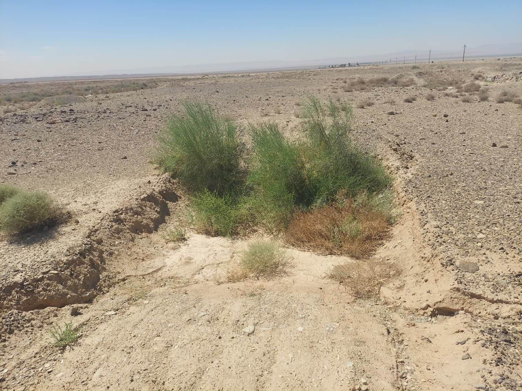 بیابان