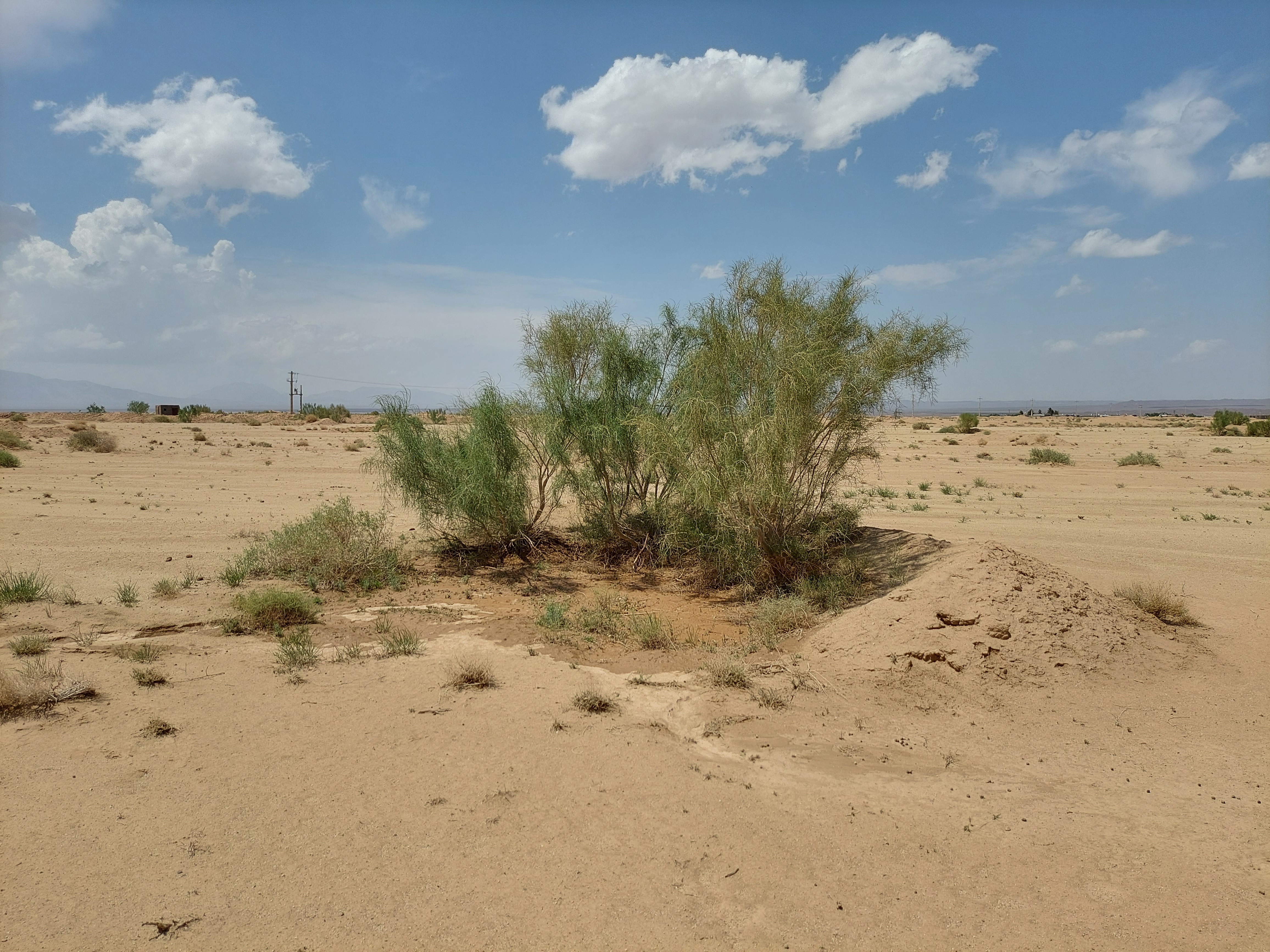 بیابان