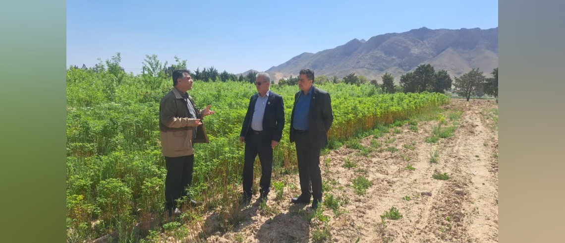 بازدید مدیر کل امور عشایری استان سمنان و مدیر کل منابع طبیعی و آبخیزداری استان سمنان از نهالستان چغولگیر شاهرود