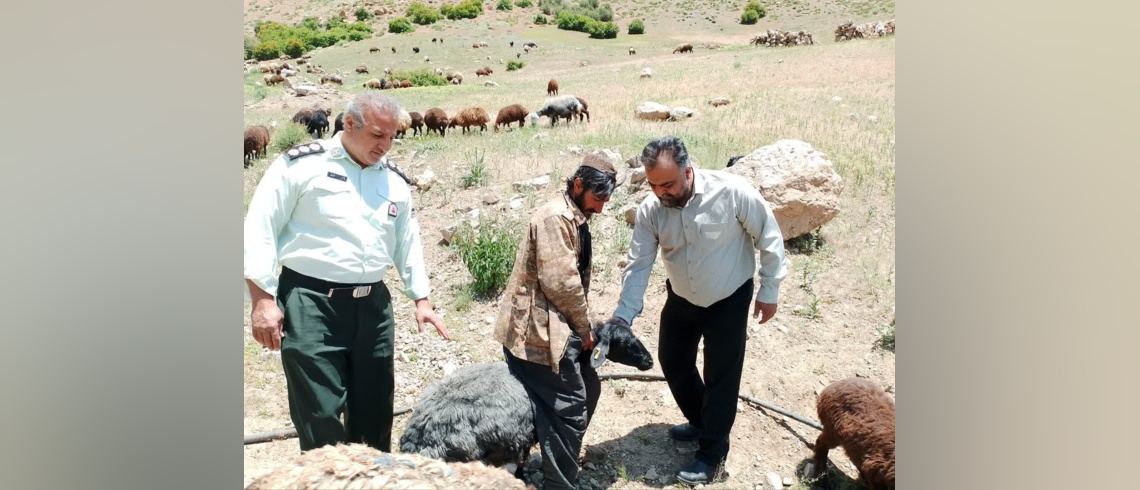 بررسی شکایات مربوط به مراتع کلور و درویش در شهرستان مهدیشهر در راستای صیانت از منابع طبیعی و رسیدگی به مطالبات و گزارش‌های مردمی