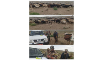 گشت و سرکشی از منطقه میاندشت شهرستان میامی