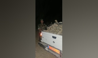 کشف محموله چوب تاغ قطع‌شده از قاچاقچیان در منطقه حسین‌آباد دهنمک در پی گشت و پایش نیروهای منابع طبیعی در منطقه حسین‌آباد دهنمک