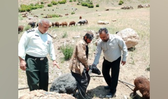 بررسی شکایات مربوط به مراتع کلور و درویش در شهرستان مهدیشهر در راستای صیانت از منابع طبیعی و رسیدگی به مطالبات و گزارش‌های مردمی