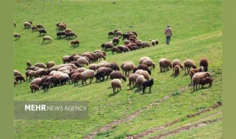 بازتاب احاله طرح‌های مرتعداری به بهره‌برداران واجد شرایط