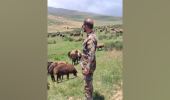 گشت و سرکشی در مرتع بغنه بزرگ شرقی