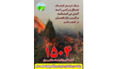 رئیس منابع طبیعی وآبخیزداری شهرستان مهدیشهر: ۱۵ هکتار اراضی ملی در آتش سوخت