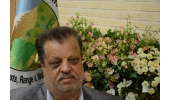 ۱۵۰ میلیون ریال اعتبار برای جمع‌آوری بذر نهال در شهرستان شاهرود منظور شد