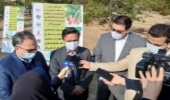 کاشت بذر و نهالکاری در زیباسازی شهری و هوای پاک تاثیر گذار است