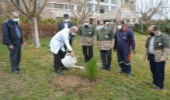 غرس نهال با حضوردکترکامران قدس رئیس دانشگاه علوم پزشکی سمنان به یاد شهدای مدافع سلامت استان سمنان  