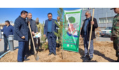 طرح نهال‎کاری سرمایه گذاری است / توسعه فضای سبز نیازمند تعامل و هم‎افزایی تمام دستگاه‎های اجرایی است