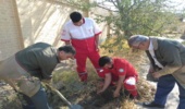 کاشت نهال در محوطه پایگاه هلال احمر نعیم اباد دامغان صورت پذیرفت