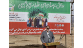 زنگ سبز نواخته شد؛ آغاز درختکاری در سمنان 